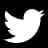 twitter logo footer